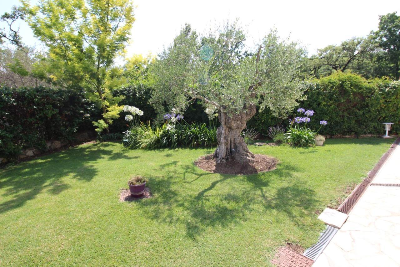 Villa Jalna Chambre, Suites Et Appartement Roquefort Les Pins Bagian luar foto